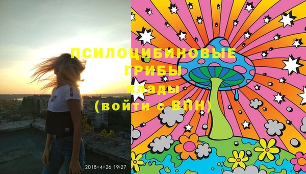 винт Богородицк